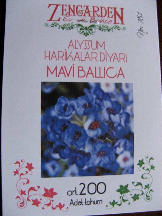 Name:  mavi alyssum-mavi ballca.jpg
Views: 770
Size:  45.5 KB