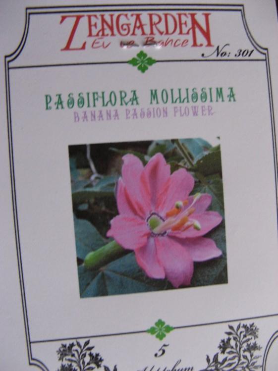 Name:  passiflora molissima.jpg
Views: 1122
Size:  42.1 KB